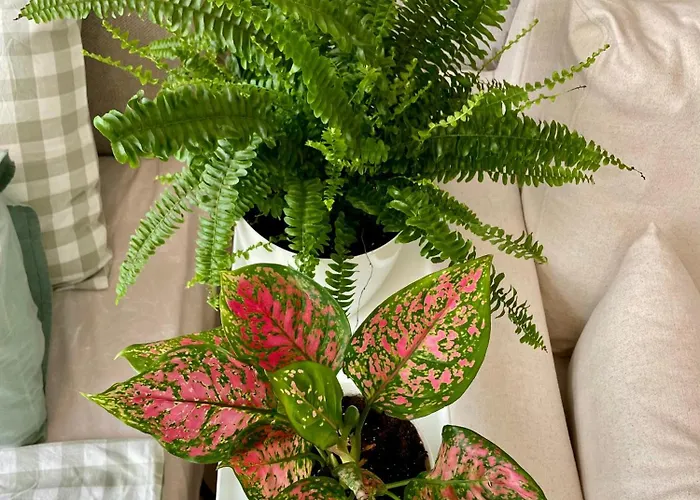 Coral Bay - Beachfront With Free Parking וארנה